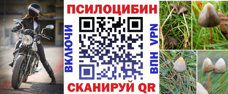 blacksprut как войти Кизел Галлюциногенные грибы мицелий купить